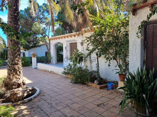 Chalet, Punta Prima, Orihuela
