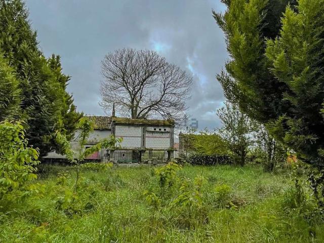 Chalet, Rodeiro