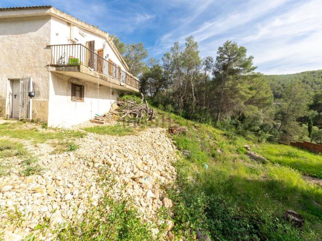 Chalet, Rodonyá