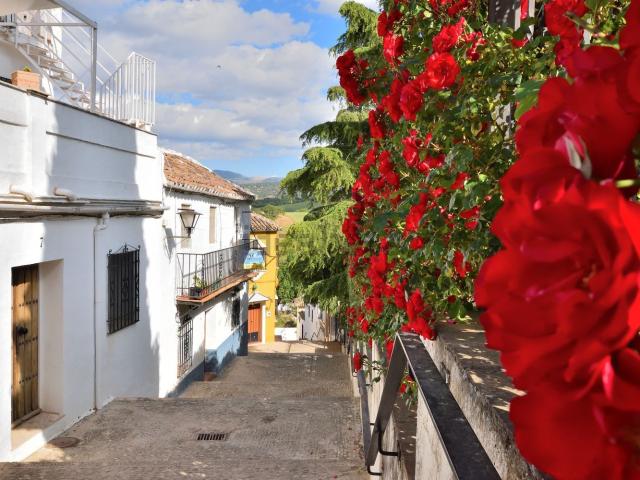 Chalet, Ronda