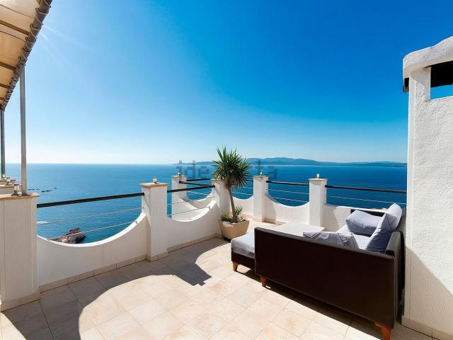 Chalet, Roses