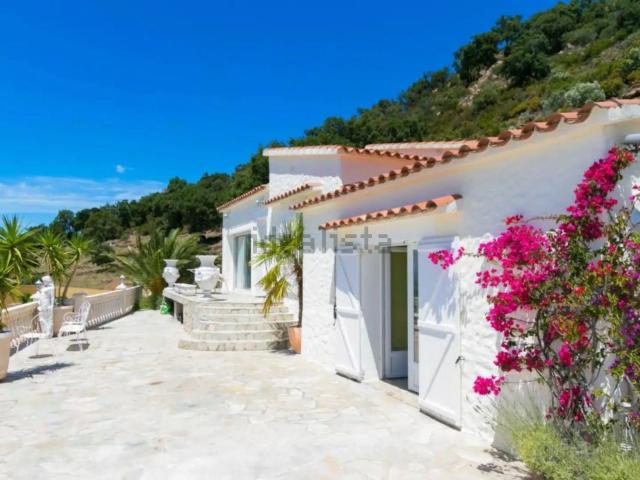 Chalet, Roses