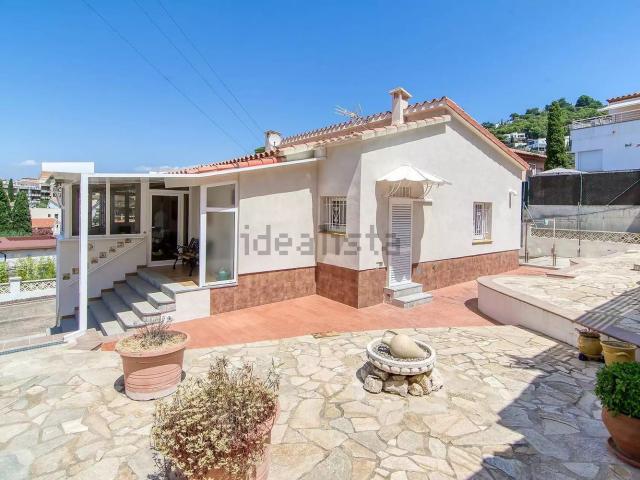 Chalet, Roses
