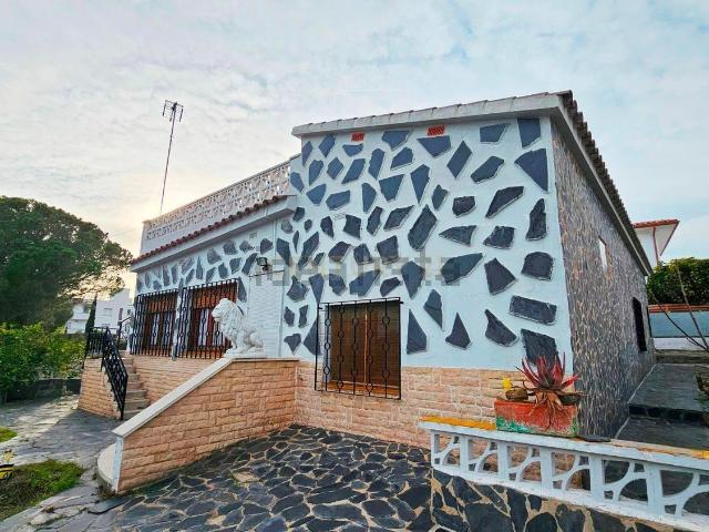 Chalet, Roses