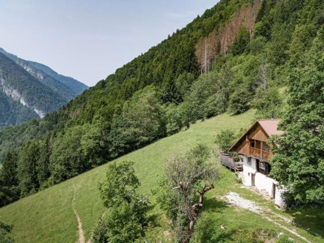 Chalet Rénové & environnement calme