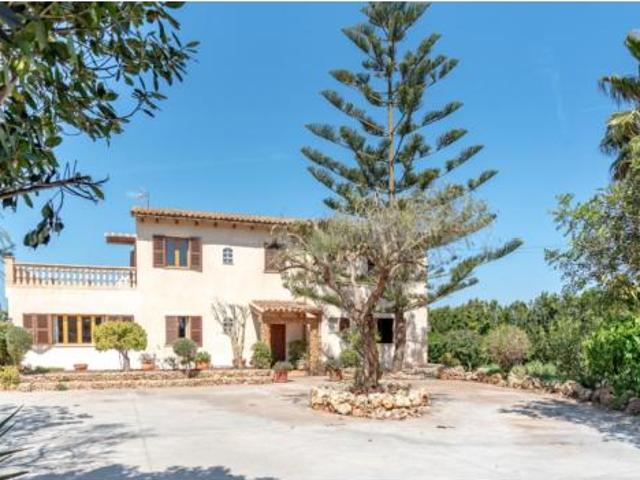 Chalet rústico Venta Manacor, Porto Cristo