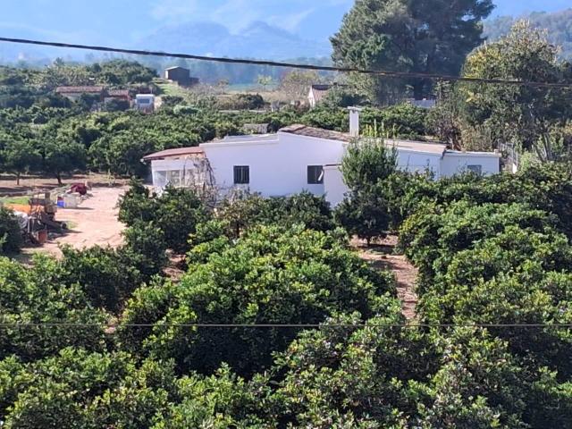 Chalet rustico en venta en Palma de Gandia