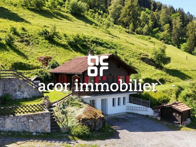 Chalet with 4.5 rooms on sale in Loye 102 m² | dreamo. Ch