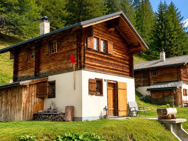 Chalet with 3.5 rooms on sale in Ernen 60 m² | dreamo. Ch