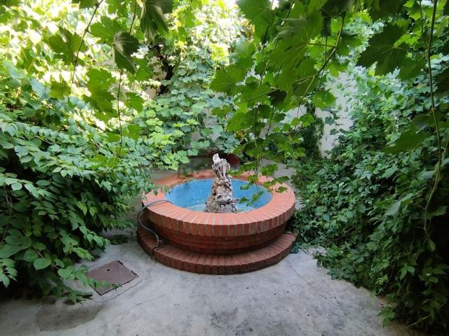Chalet, Tomelloso