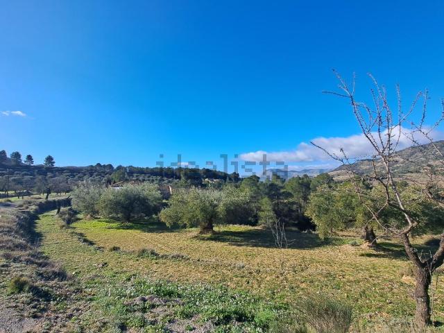 Chalet, Torremanzanas