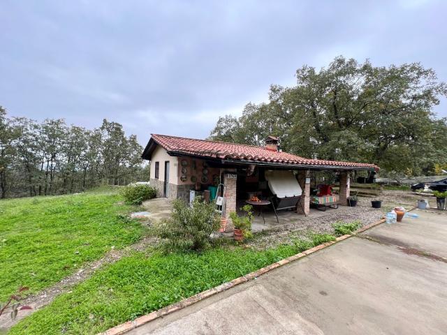 Chalet, Torremenga