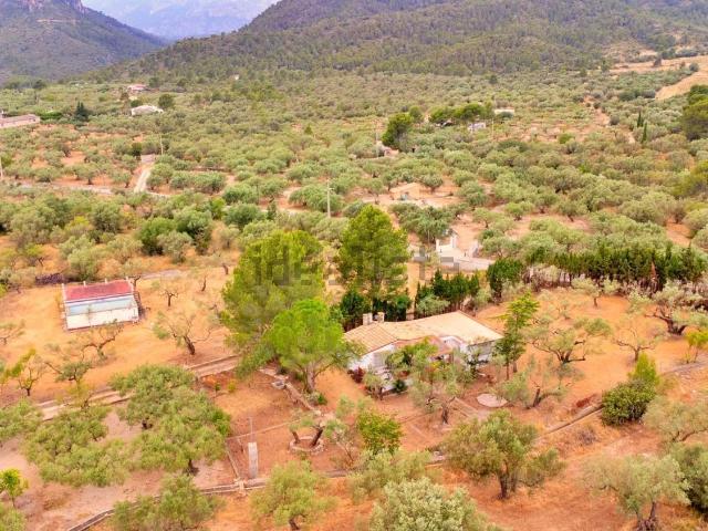Chalet, Tortosa
