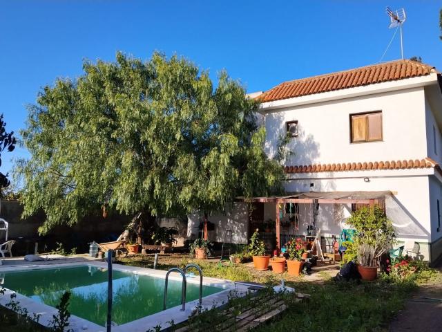 Chalet, Tacoronte