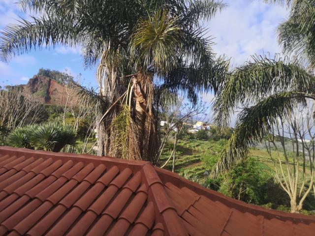 Chalet, Tacoronte