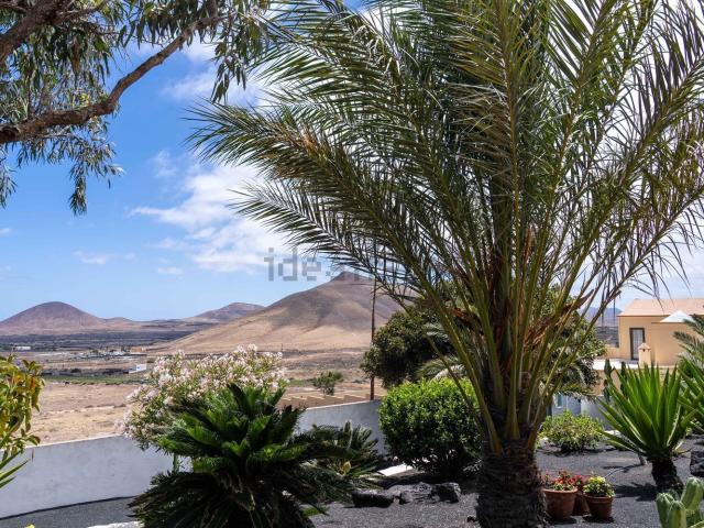 Chalet, Teguise