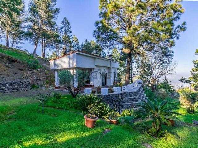 Chalet, Telde