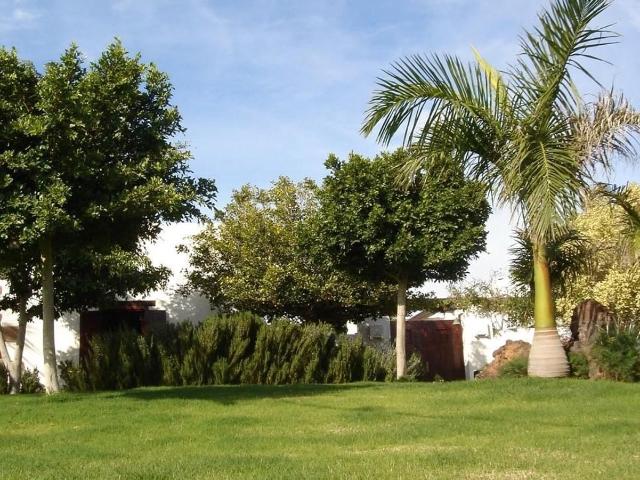 Chalet, Tias