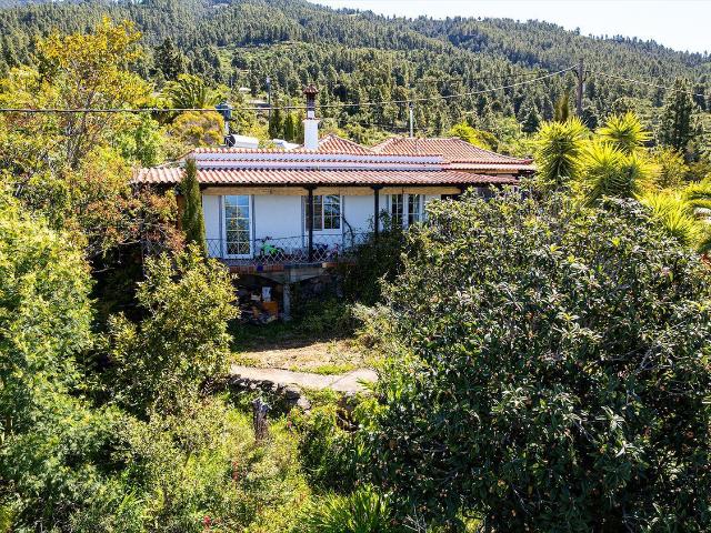 Chalet, Tijarafe