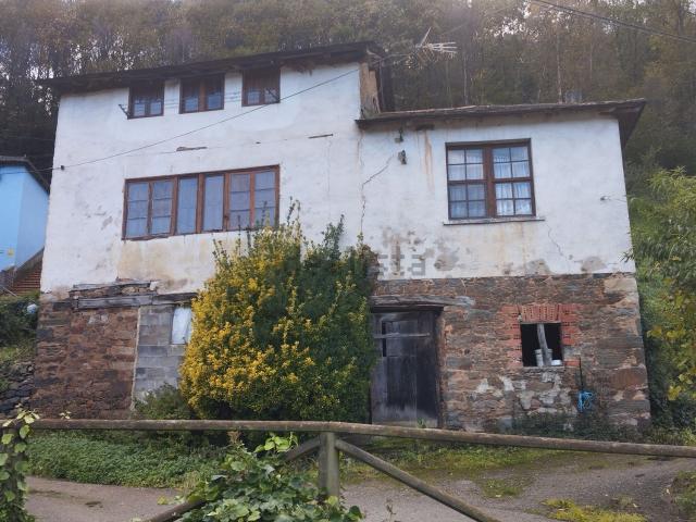 Chalet, Tineo