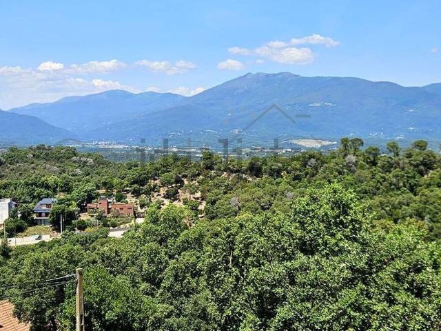 Chalet, Vallgorguina