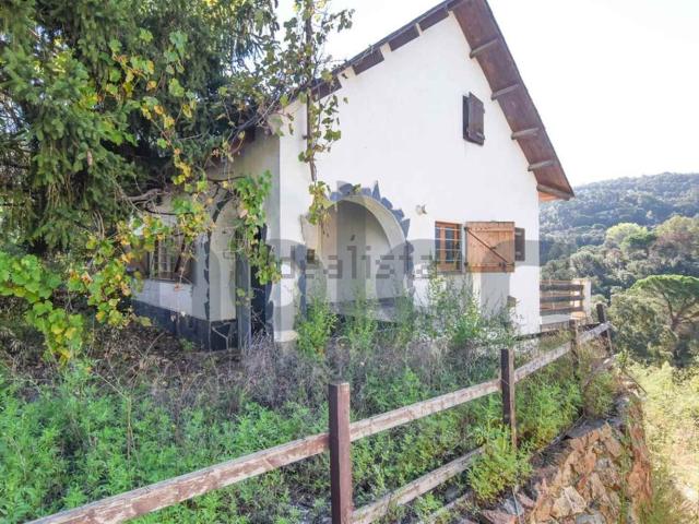 Chalet, Vallgorguina