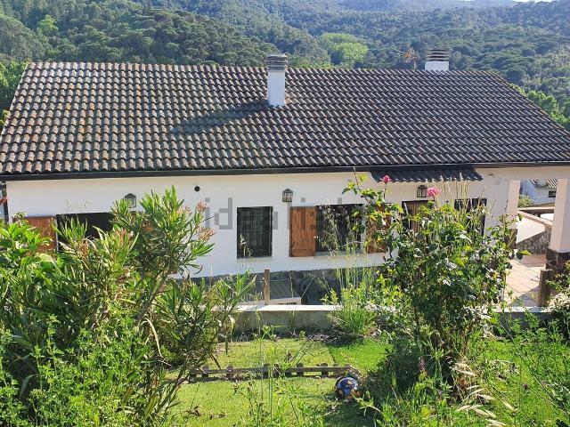 Chalet, Vallgorguina