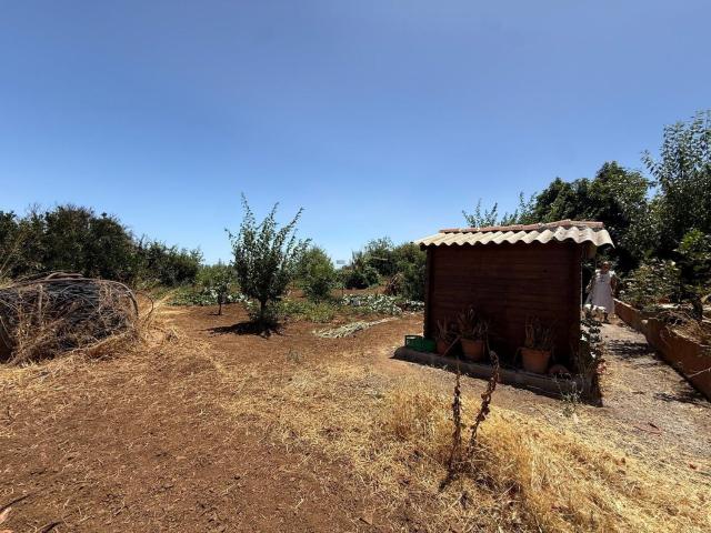 Chalet, Vega de San Mateo