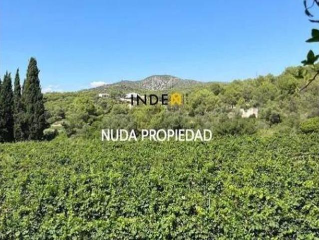 Chalet Venta Cubelles, Mas Trader Corral d'en Tort Corral d'en Cona