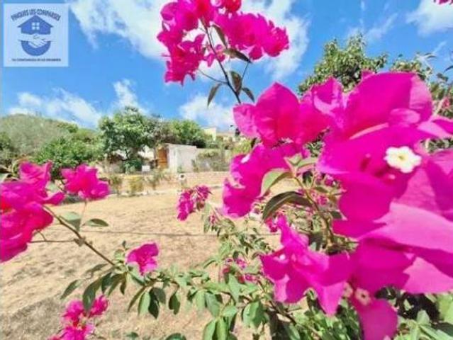 Chalet Venta Cunit, Cunit