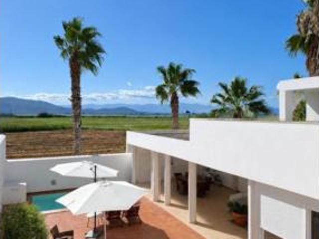 Chalet Venta Amposta, Poble Nou del Delta Eucaliptus