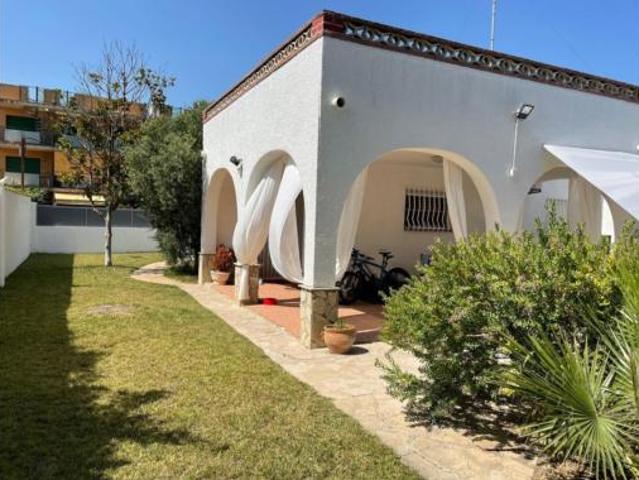Chalet Venta Amposta, Poble Nou del Delta Eucaliptus