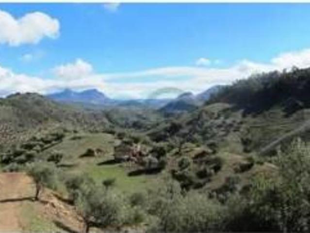 Chalet Venta Algodonales, Algodonales