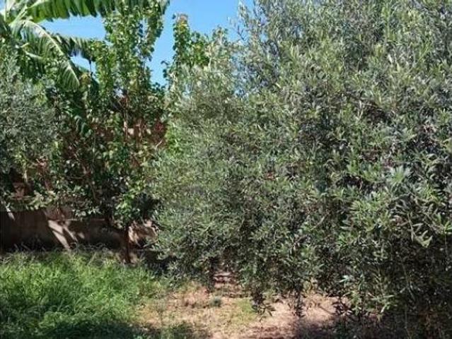 Chalet Venta Borriol, Borriol