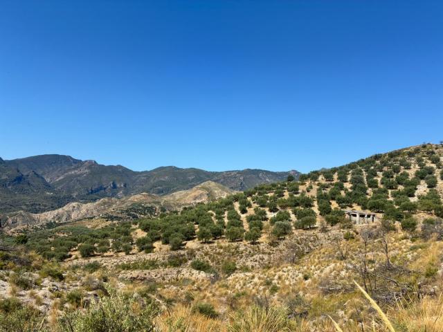 Chalet Venta Granada