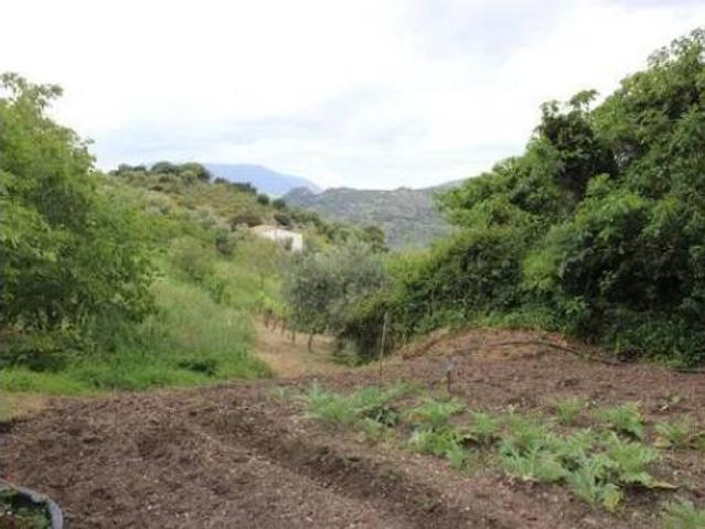 Chalet Venta El Gastor, El Gastor