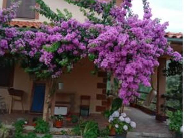 Chalet Venta El Torno, El Torno