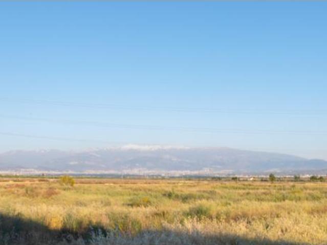 Chalet Venta Íllora, Obéilar