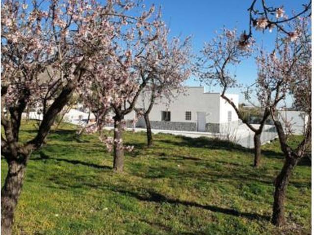 Chalet Venta Oria, Oria