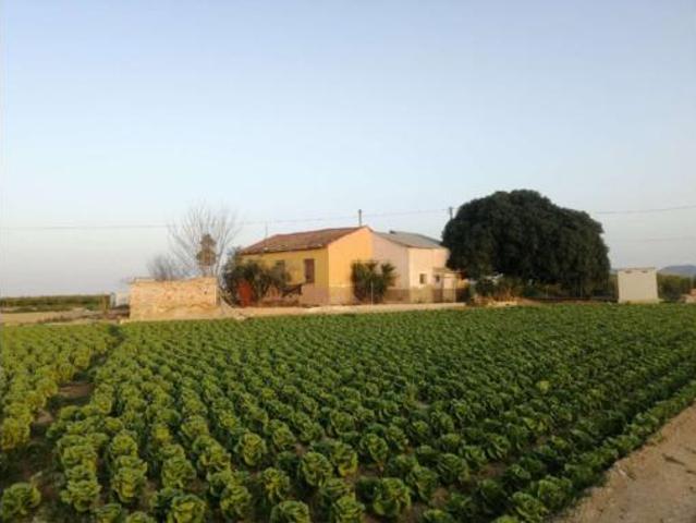 Chalet Venta Orihuela, Orihuela Pedanías