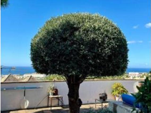 Chalet Venta Marbella, Torrecilla La Cañada