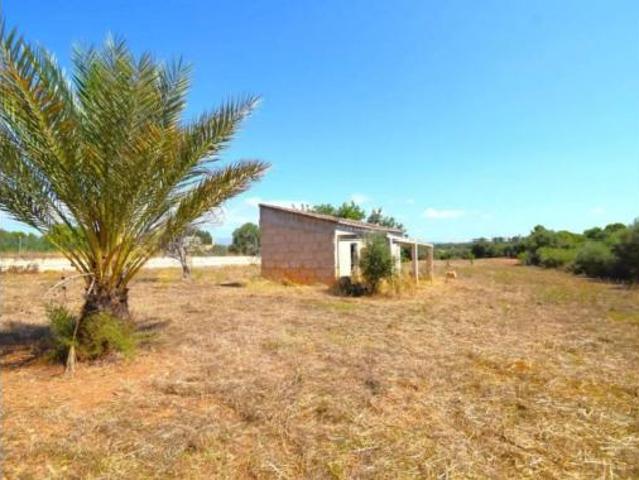 Chalet Venta Muro, Muro