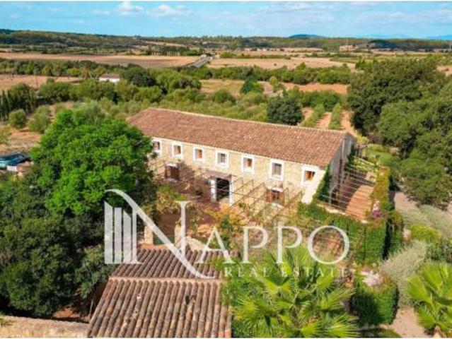 Chalet Venta Sencelles, Ruberts