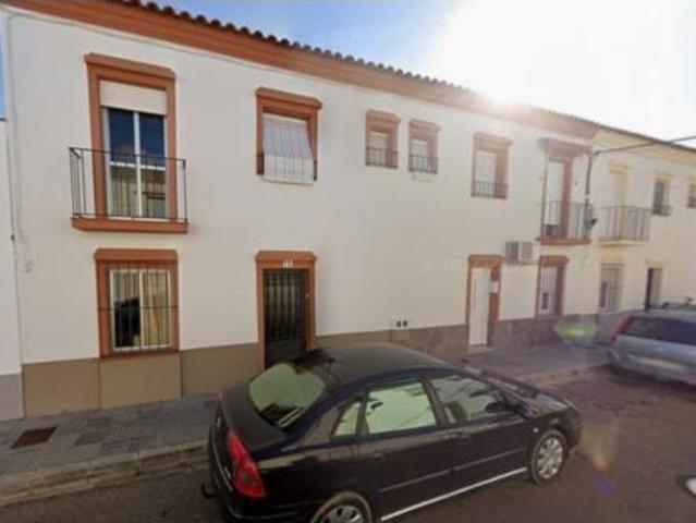 Chalet Venta Puebla de La Calzada, Puebla de la Calzada