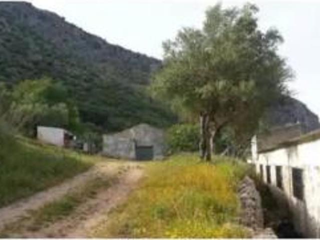 Chalet Venta Ronda, Ronda