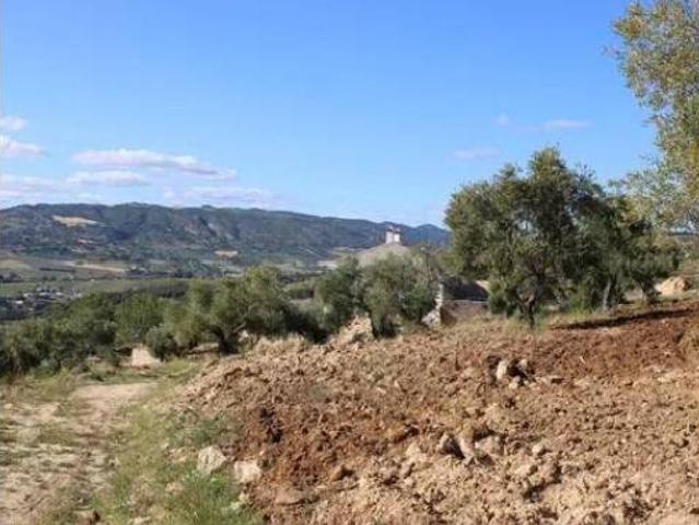 Chalet Venta Ronda, Ronda