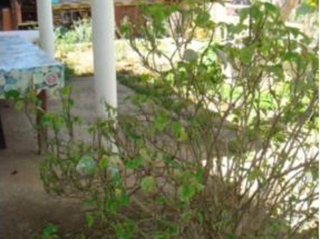 Chalet Venta Teror, Teror