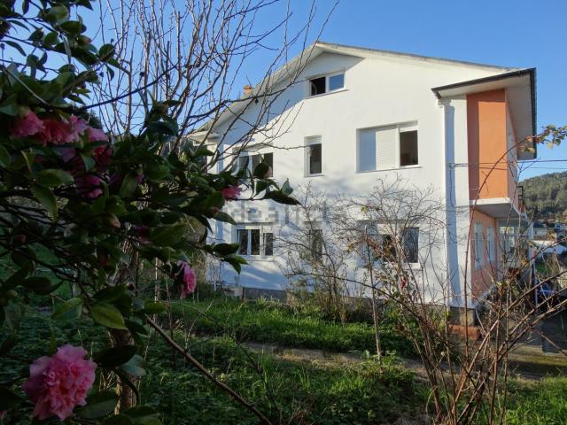Chalet, Viveiro