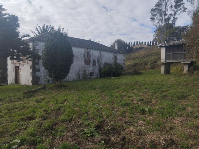 Chalet, Viveiro