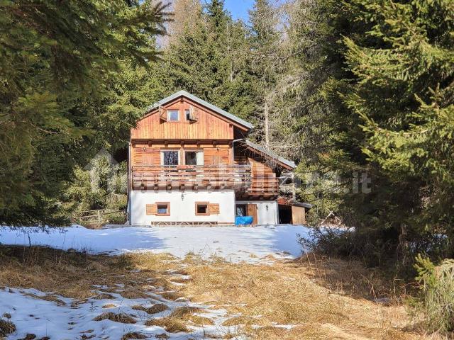 Chalet via Monte Piedo 18, Danta di Cadore